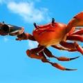 зھϷٷ棨Crab Champions v1.0