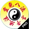 ˷APPΪ޹ Chrono Acupuncture v2.4.0