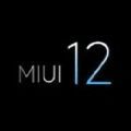 С10/Pro MIUI12.5ڲذװ v1.0