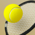 λϷ׿Ѱ棨Dream Tennis v1.0