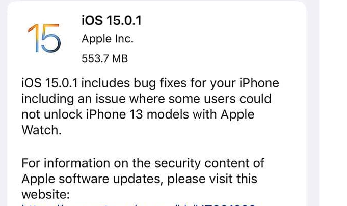 iOS15.0.1ļٷ氲װ v1.0ͼ4