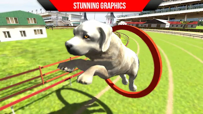 ѵ3DϷ׿ֻ棨Dog Training ; Dog Games 3D v1.3ͼ3