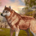 ҰǶģϷֻ°棨The Wild Wolf Animal Simulator v1.0.0