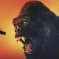 ͹Ϸ׿棨Giant Monster King Kong Game v1.0