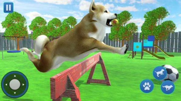 ģ3DϷ2022ֻ棨Dog Life Simulator 3D Game v1.0.0ͼ1