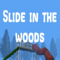 ɭĻݿֲϷװٷ棨slide in the woods v1.0